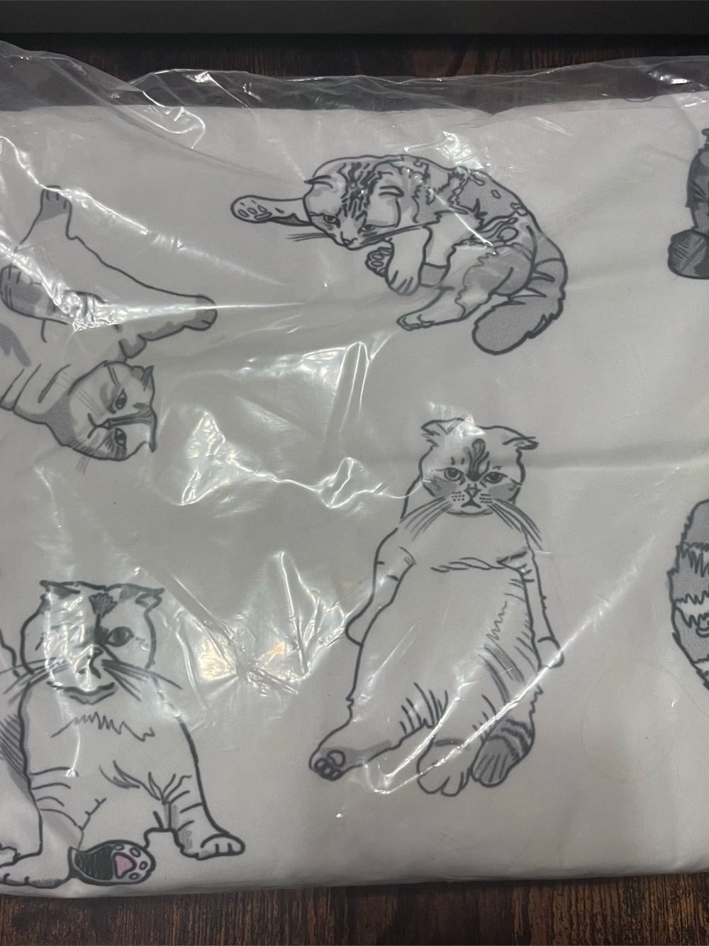 New Taylor Swift Cat Duvet